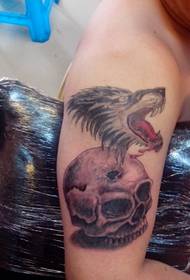 Anqing Cry Tattoo Hall Tattoo Show Picture Works: Arm Wolf Head Tattoo Pattern