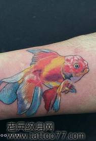 دختر از الگوی تاتو ماهی قرمز کوچک رنگی بازو را دوست دارد