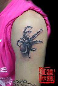 一款女孩子手臂蜘蛛纹身图案