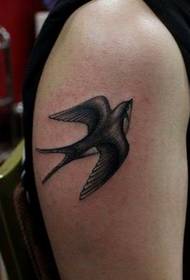 Girl favorite arm small swallow tattoo pattern