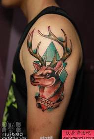 Pertunjukan tatu, mencadangkan karya tatu antelop warna lengan