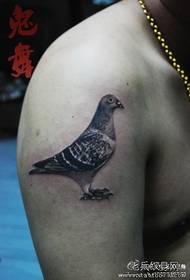Ang pattern ng braso klasikong pigeon tattoo pattern