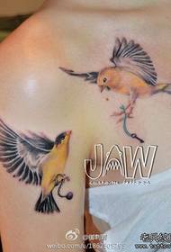 Mooi meisje arm en borst prachtige vogel tattoo patroon