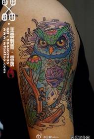 Amaphethini e-arm amahle abukeka kahle owl tattoo