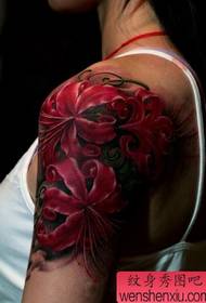 Padrão de tatuagem no braço: padrão de tatuagem de flores e braços de beleza