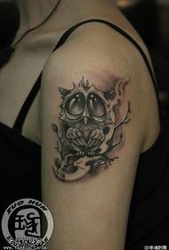 Modello di tatuaggio gufo braccio femminile