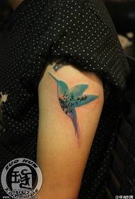 Patrón de tatuaje de colibrí color brazo femenino