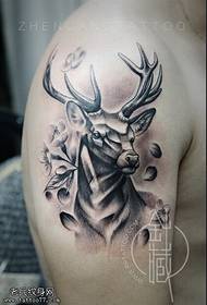 Tattooshow, advisearje in earm antelope tatoet