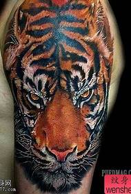 Tetovací sál sdílí tetování s tygří hlavou s velkým ramenem