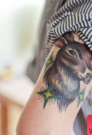 Arm color antelope tattoo pattern