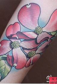 Az egyik karján színes phalaenopsis tetoválás mintázat