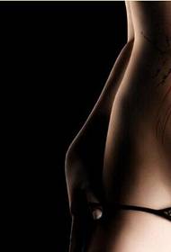beauty abdomen beautiful bird language floral personality tattoo picture