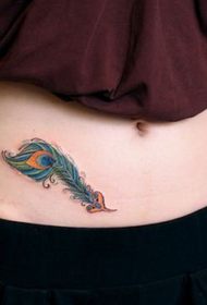 女孩子腹部孔雀羽毛纹身图案