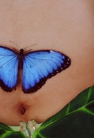 kvinnelig mage realistisk blå sommerfugl tatovering