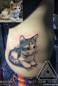 modello di tatuaggio addome animale domestico gatto