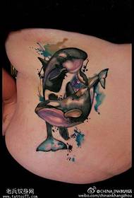 ຮູບແບບ tattoo dolphin ສີ