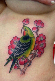 Wzór tatuażu ptak kolor brzucha kobiety