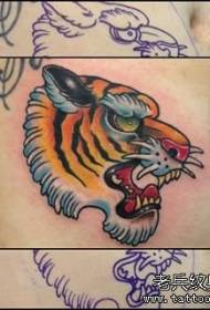 patrón de tatuaje de avatar do tigre da escola do abdome