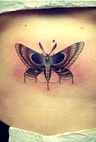 feshene femu mothitho moth tattoo setšoantšo paterone