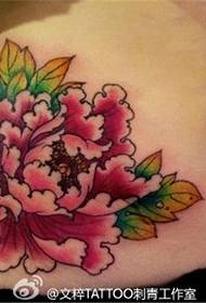 Որովայնի գունավոր Peony Flower Tattoo- ի նախշը