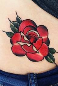 Tatuaje de rosa europea chica vientre color rosa tatuaje foto