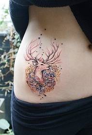моден женски корем фин красив цвят снимка антилопа татуировка
