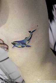 inozorodza dolphin tattoo maitiro