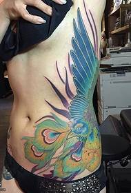 Абдоменот наслика шема на тетоважи со феникс