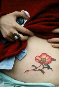 abdômen da mulher bela tatuagem floral padrão Daquan