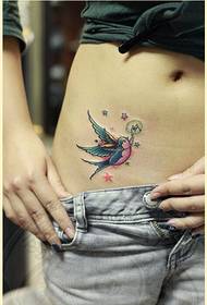 美麗的肚子美麗漂亮的小燕子紋身圖案圖片