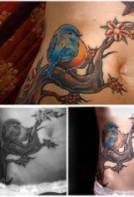 bukfärgade blommagrenar med blå fågel tatueringsmönster