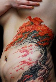 ženský pás brucho dobre vyzerajúci vzor tetovania stromov