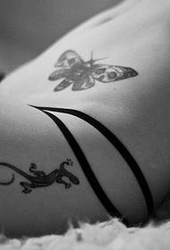 girl Abdomen moth leg gecko sexy black and white tattoo