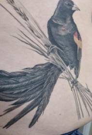 абдомен тетоважа момчиња стомак црна птица тетоважа слика