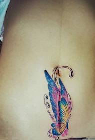keizersnede vrouwelijke favoriete buik kleur vlinder tattoo