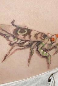 pilvo asmenybės tatuiruotės modelis