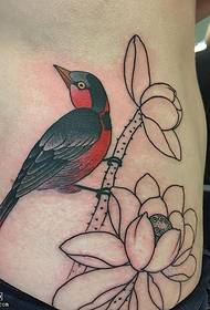mage linje lotus fågel tatuering mönster