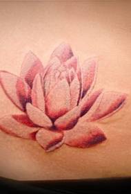 아름다운 핑크 연꽃 배 문신 패턴