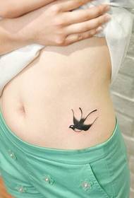 Muoti naisten vatsa kaunis näköinen niellä tatuointi kuvan kuva
