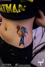 addome colore personalità rondine modello tatuaggio