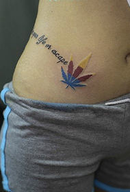 Modello di tatuaggio inglese di bellezza colore foglia d'acero