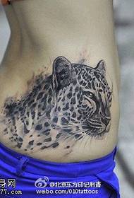 dangasa leopard zarb zarb naqsh
