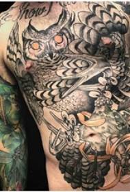 tetoválás bagoly fiúk hasa festett tetoválás bagoly kép