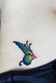 ຮູບແບບ tattoo butterfly ສີທ້ອງນ້ອຍ