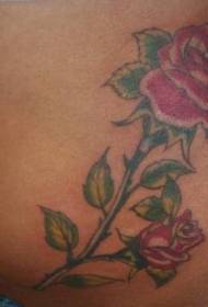 腹部彩色的紅玫瑰和芽紋身圖案