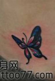 grožio pilvas klasikinis gražus drugelio tatuiruotės modelis