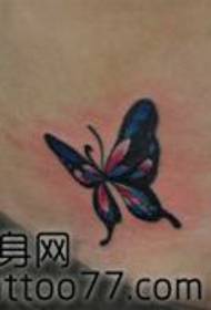 lepotni trebuh klasičen lepo videti vzorec tatoo metuljev
