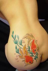 kauneus vyötärö hip väri pieni kultakala tatuointi kuvio kuva