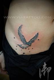 modello di tatuaggio addome rondine colore