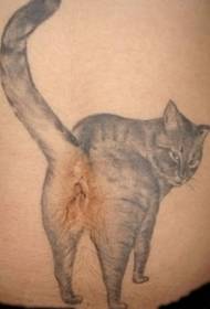 padrão de tatuagem de gato engraçado da barriga